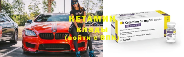 сатива Вязьма