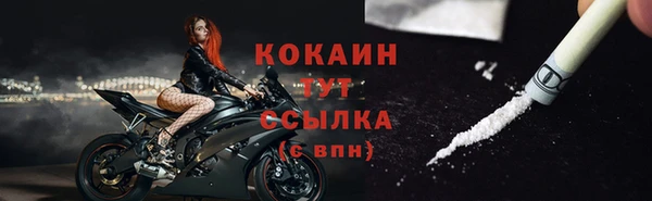 сатива Вязьма