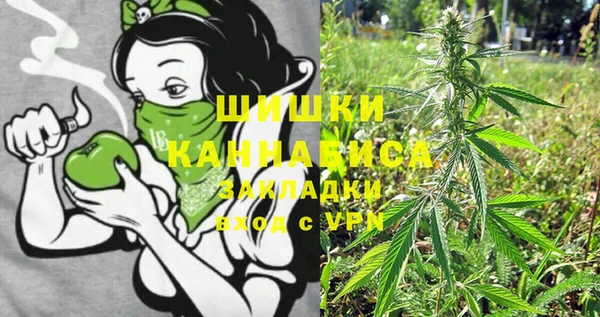 сатива Вязьма
