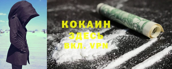 сатива Вязьма